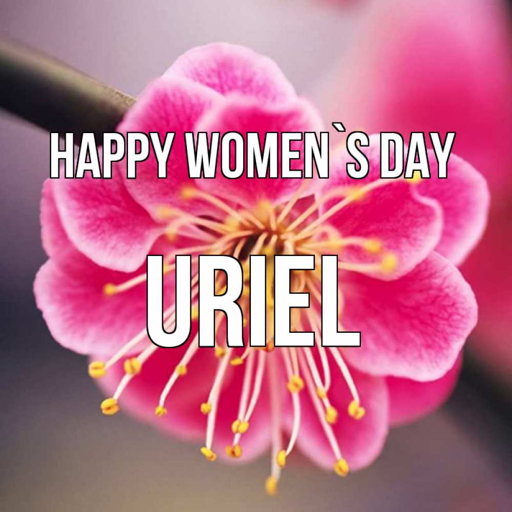 Greetings card с именем, Uriel happy women`s day цветы Greetings with text for free download 
